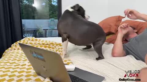 colbyknox online show from November 4, 10:55 pm