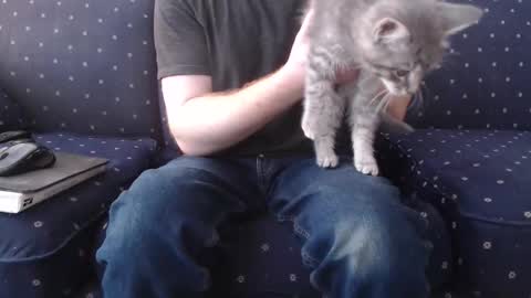 copper_crotch online show from December 3, 4:18 pm