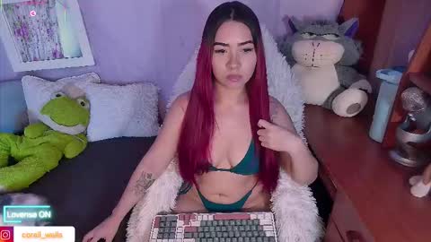 Snapshot of coralwells chatting on October 27, 2:06 pm coralwells online show from October 27, 2:06 pm