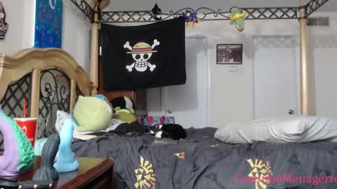 Snapshot of costumemenagerie chatting on January 17, 12:20 am Amethyst Cox online show from January 17, 12:20 am