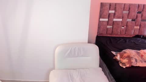 Tommy online show from December 22, 2:13 pm