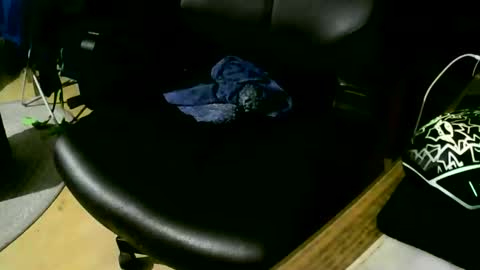 coyote017 online show from November 17, 9:28 pm