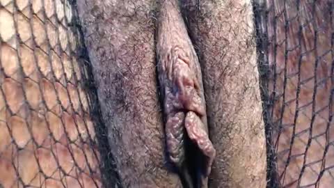 Nambuusi Irene online show from March 26, 12:39 am