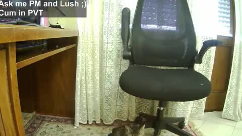 Leo online show from November 29, 9:28 am