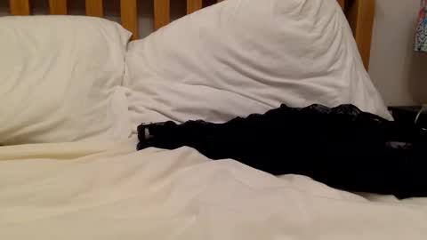 cumonherguys online show from February 16, 9:07 am