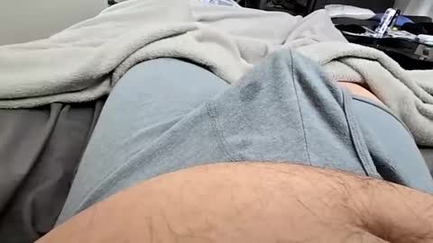 cumvet online show from December 8, 2:41 pm