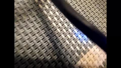 maria  alex online show from November 4, 4:03 am