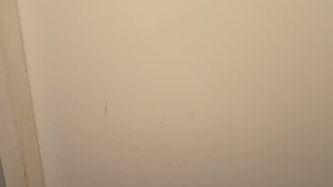 Curly dream69 online show from March 13, 8:28 am