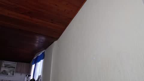 LIZETH online show from November 14, 11:23 am