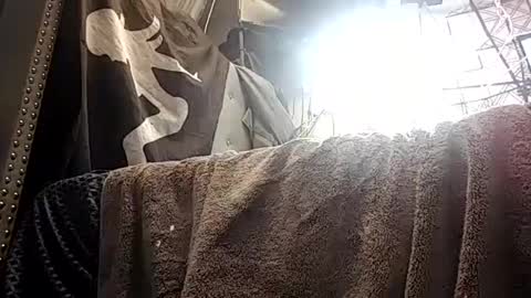 IMA PUT IT ON YA SHOULDER SO U CAN THINK ABOUT IT online show from October 13, 11:12 am