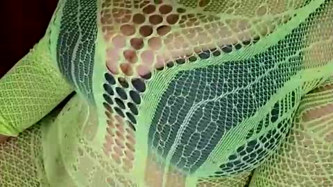 Daddett iS Wett online show from March 31, 8:15 am