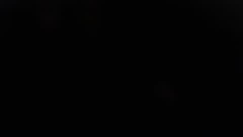 DDick online show from November 27, 11:29 am