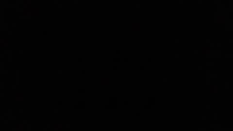 Ray Stevens Jr online show from December 23, 9:16 am