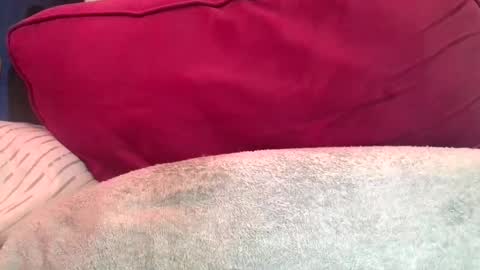 Snapshot of daddyy008 chatting on September 10, 9:49 pm daddyy008 online show from September 10, 9:49 pm