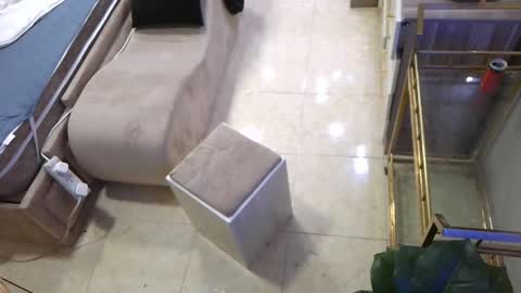 Deffa online show from March 6, 10:09 am