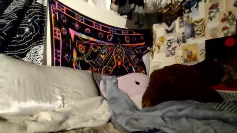 DaintyDarling online show from February 21, 6:48 pm