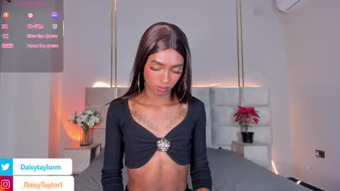 Daisy online show from November 29, 1:08 pm