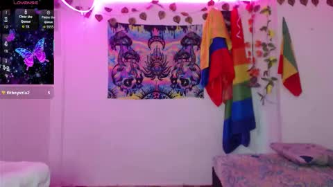 Dakko online show from February 7, 8:17 am