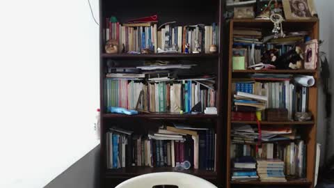 JamesDali online show from March 19, 8:42 am