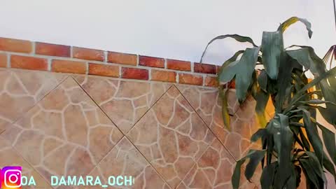Snapshot of damara_ochoa chatting on February 22, 7:45 am online show from February 22, 7:45 am