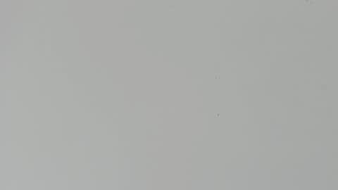 daniel_kingxxx online show from March 2, 12:34 pm