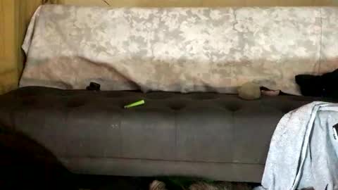 dandeb online show from October 12, 1:09 am