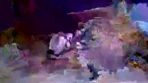 danny149664 online show from April 12, 3:43 am