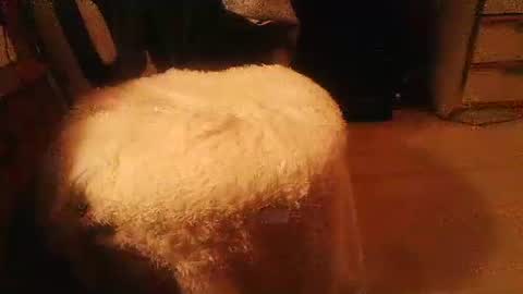 Danielle online show from December 20, 10:50 pm