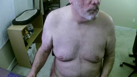 Danny bear online show from April 29, 8:08 am