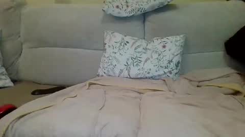 danydotado online show from December 18, 8:36 pm