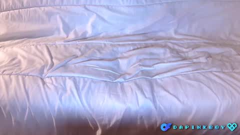 dapinkboy online show from February 26, 11:41 pm