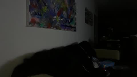 dartanha007 online show from February 14, 6:38 am