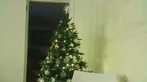 Dario online show from December 7, 11:51 pm