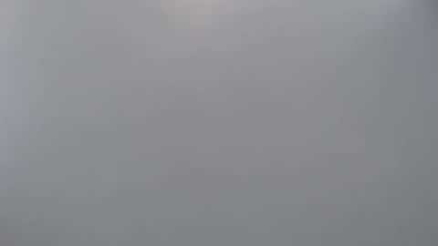 davdao3 online show from April 18, 11:01 am