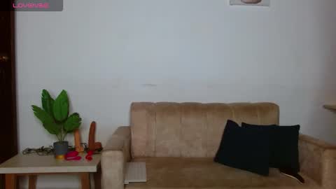 Noha online show from February 25, 10:52 am