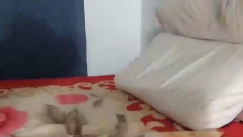 david_1373 online show from January 17, 4:38 pm