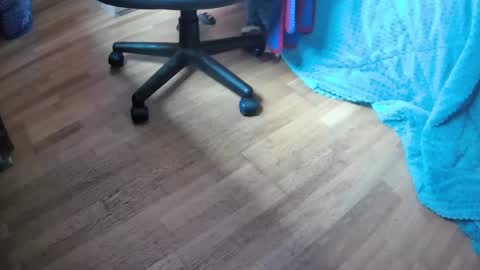 Hugo online show from February 12, 11:51 am