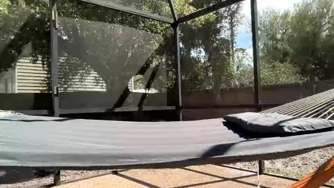 Dazey online show from March 19, 6:24 pm