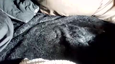 ddick0303 online show from March 17, 6:18 am