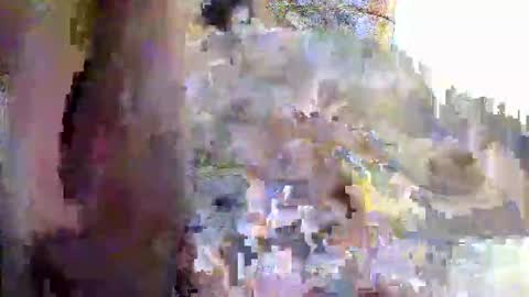 decraze online show from February 26, 1:36 pm