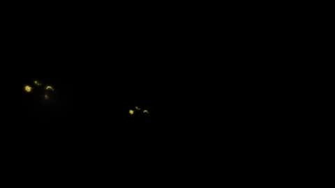 Denise online show from February 14, 5:26 pm