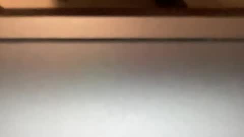 densex123 online show from March 4, 10:16 pm