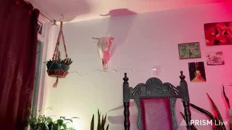 Desidias online show from November 30, 2:40 am