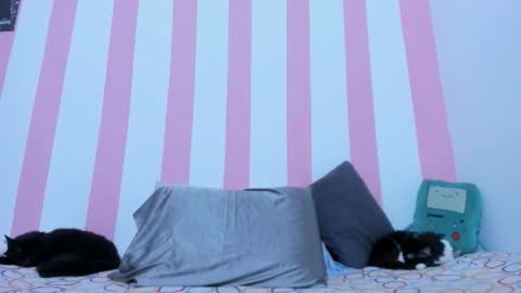 Johana online show from March 17, 2:16 am