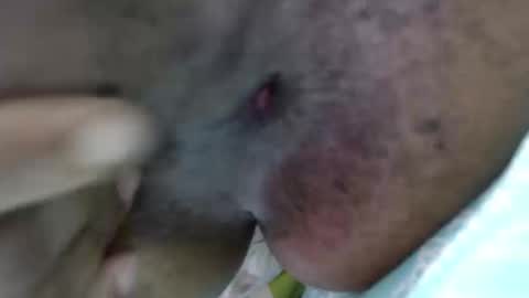 Snapshot of devorasexy2 chatting on September 19, 10:02 pm Devora.. online show from September 19, 10:02 pm