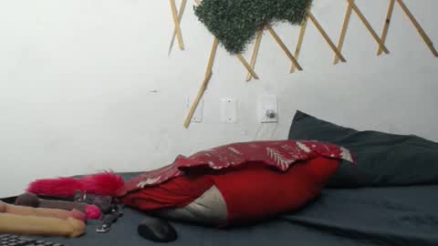 D I A B L A online show from November 11, 9:50 pm