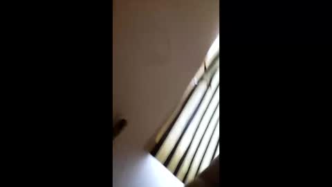 diawolo online show from April 15, 12:30 pm