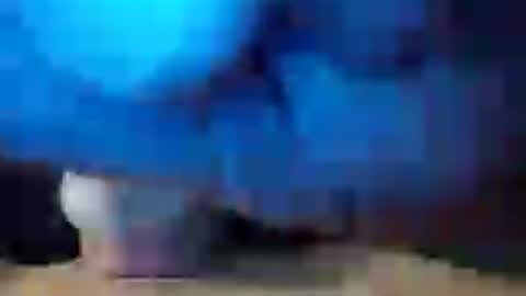 dicknobber online show from July 23, 10:57 am