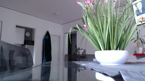 Snapshot of didiegal chatting on December 9, 2:39 pm squirtcock online show from December 9, 2:39 pm