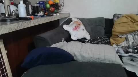 Snapshot of dimepiecexxx chatting on February 12, 10:46 am Sofie online show from February 12, 10:46 am